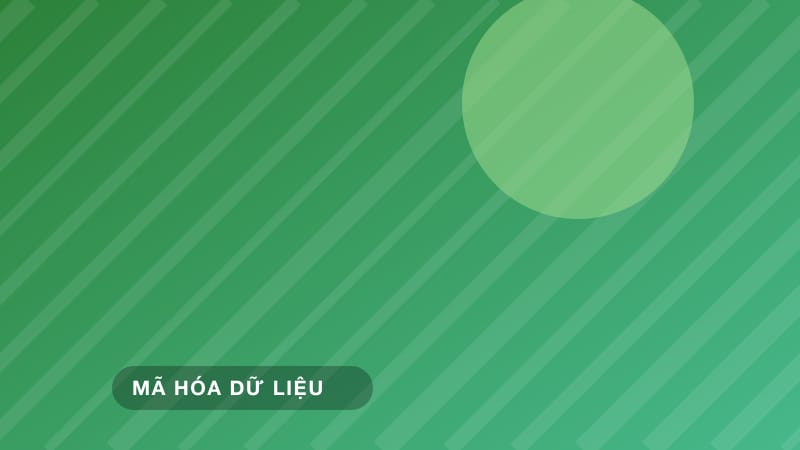 So sánh AES-256 và ChaCha20: Thuật toán nào an toàn hơn?