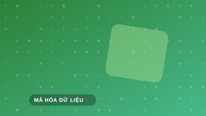 Zero-Knowledge Proof: Kỹ thuật xác minh không tiết lộ dữ liệu