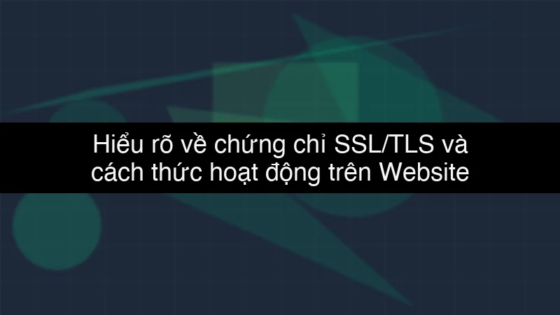 Hiểu rõ về chứng chỉ SSL/TLS và cách thức hoạt động trên Website data dump