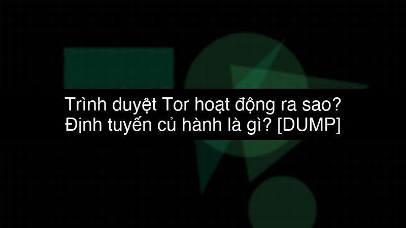 Trình duyệt Tor hoạt động ra sao? Định tuyến củ hành là gì? data dump